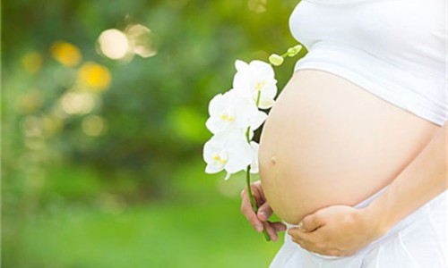 孕妇可以吃葛根鸡汤吗网 - 怀孕期间能吃葛根吗,孕妇可以吃葛根煲汤吗